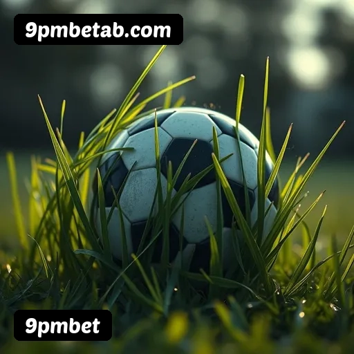 9pmbet APP mobile iOS Android - 187 mil downloads São Paulo Rio BH